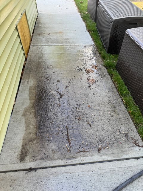 Narrow concrete pathway between two houses with moss and algae growth, showing signs of moisture and weathering